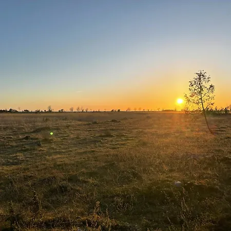 Home, Hiiumaa With Nordic Hottub & Sauna Dom wakacyjny *