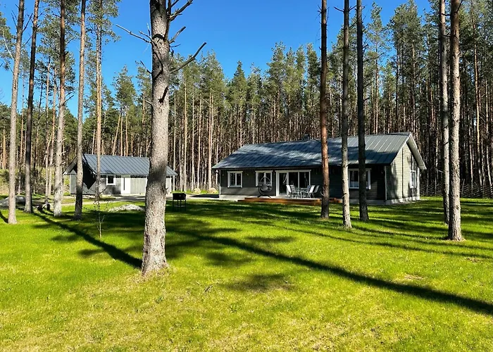 Home, Hiiumaa With Nordic Hottub & Sauna Holiday home Reigi