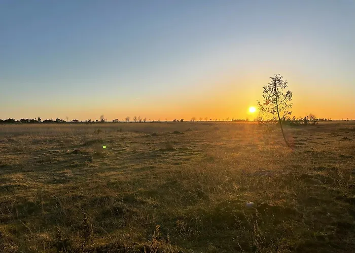 Home, Hiiumaa With Nordic Hottub & Sauna Holiday home *