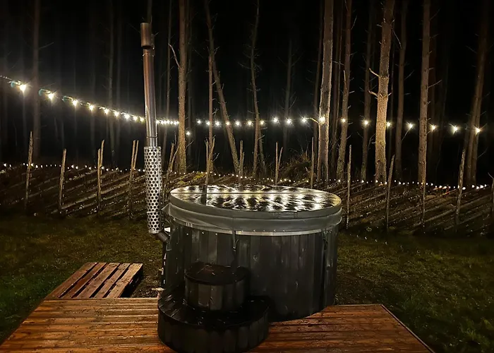 Holiday home Home, Hiiumaa With Nordic Hottub & Sauna Reigi